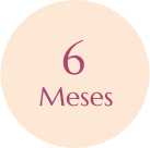 6 meses