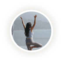 Ellipse 29